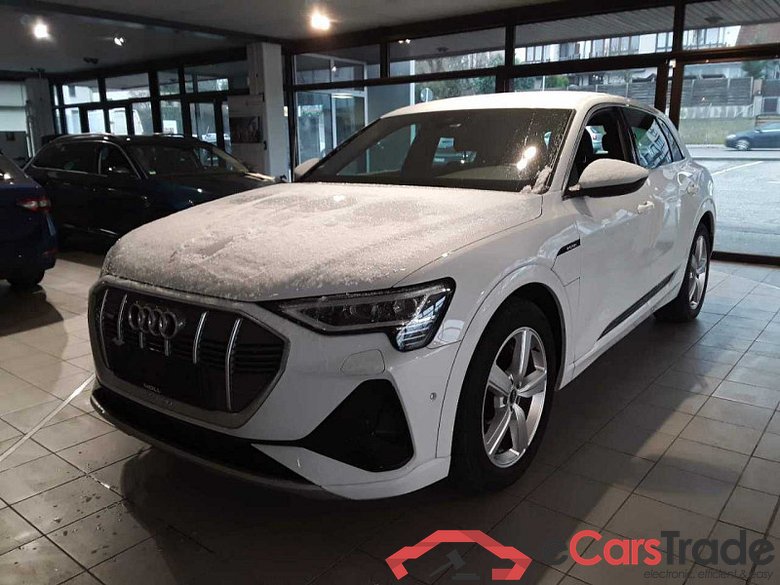 Audi e-tron (GEN)(01.2019->) DE - SUV5 50 quattro, S line, 2019 - 2023 #1