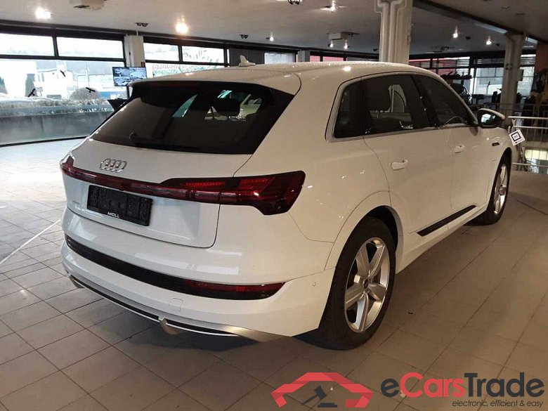 Audi e-tron (GEN)(01.2019->) DE - SUV5 50 quattro, S line, 2019 - 2023 #3