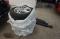 preview Ford Focus #4