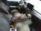 preview Ford Focus #2