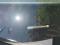 preview Skoda Enyaq #2