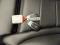 preview Mercedes S-Class #3
