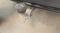 preview Volvo XC40 #4