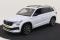preview Skoda Kodiaq #0