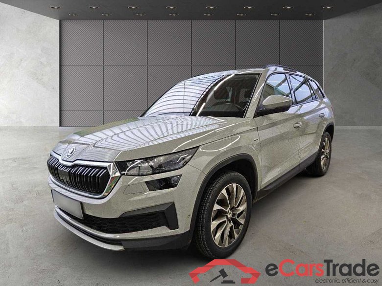 Skoda Kodiaq (NS)(2016->) DE - SUV5 2.0 TDI EU6d, Clever 4x4 (EURO 6d), (Facelift) 2021 - 2022 #1
