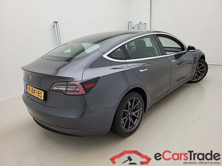 Tesla Model 3 Stnd.RWD Plus 60 kWh #2