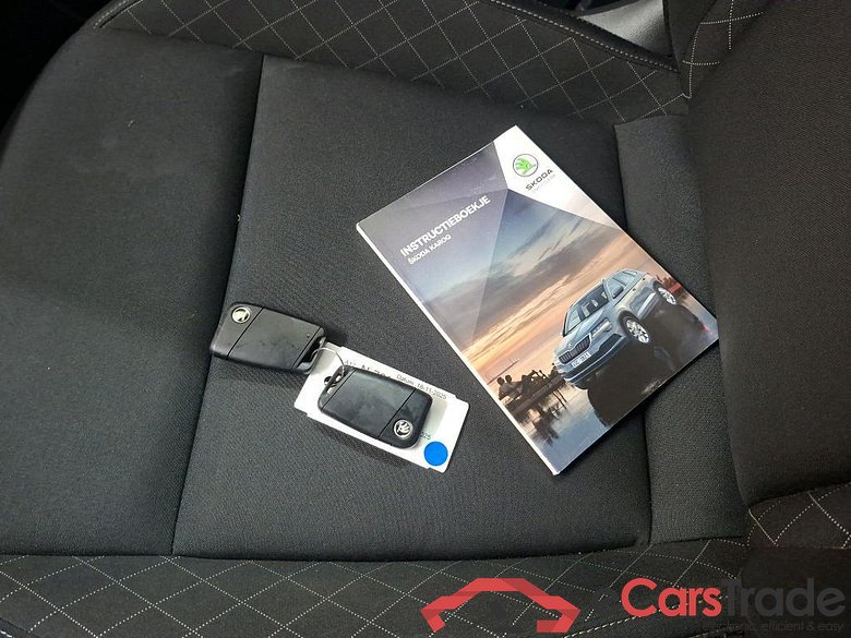 SKODA Karoq 110 kW #6