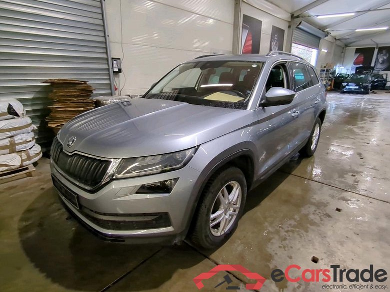 Kodiaq Ambition 2.0 TDI 110KW AT7 E6dT