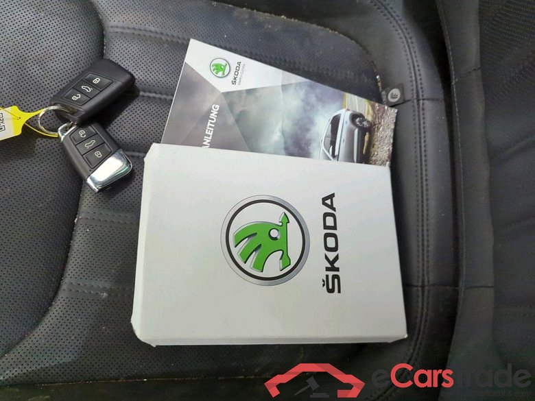 Kodiaq L&K 2.0 TDI 110KW AT7 E6d #3