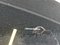 preview Peugeot 308 #2