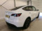 preview Tesla Model Y #1