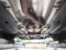 preview Cupra Leon #4