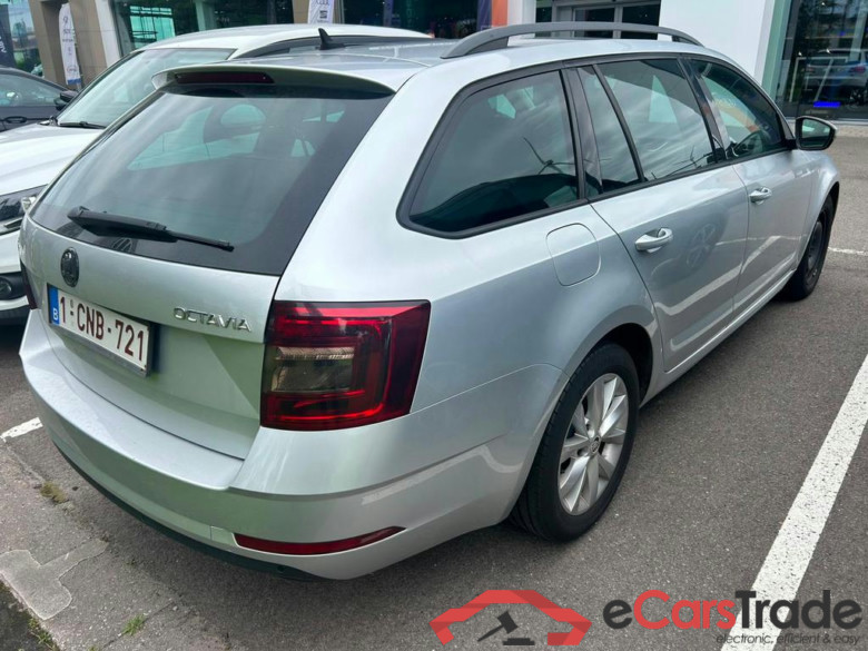SKODA Octavia SW Octavia Combi Ambition 1.6 TDI 85kW 7-speed automat. #4