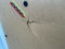 preview Ford Transit Custom #4