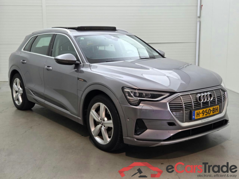 AUDI e-tron e-tron 50 quattro Launch edition plus 71 kWh #2
