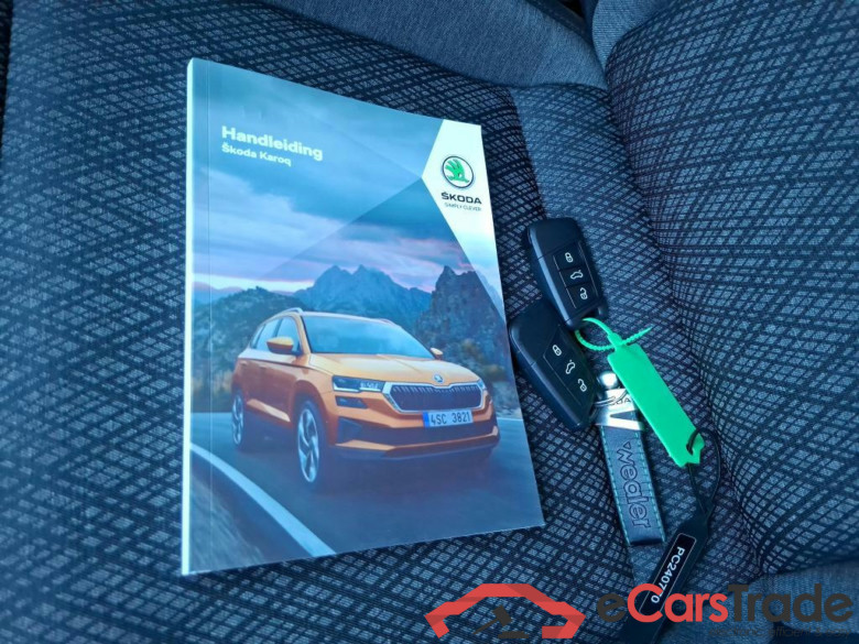 SKODA Karoq 110 kW #6